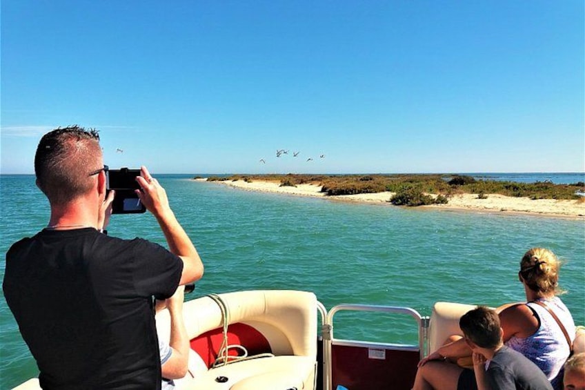 Ria Formosa Natural Park and Islands Boat Cruise from Faro 2