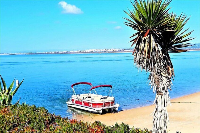 Ria Formosa Natural Park and Islands Boat Cruise from Faro 3