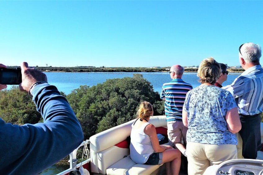 A group of people on a boat, some taking photos, with a body of water and greenery in the background. 5