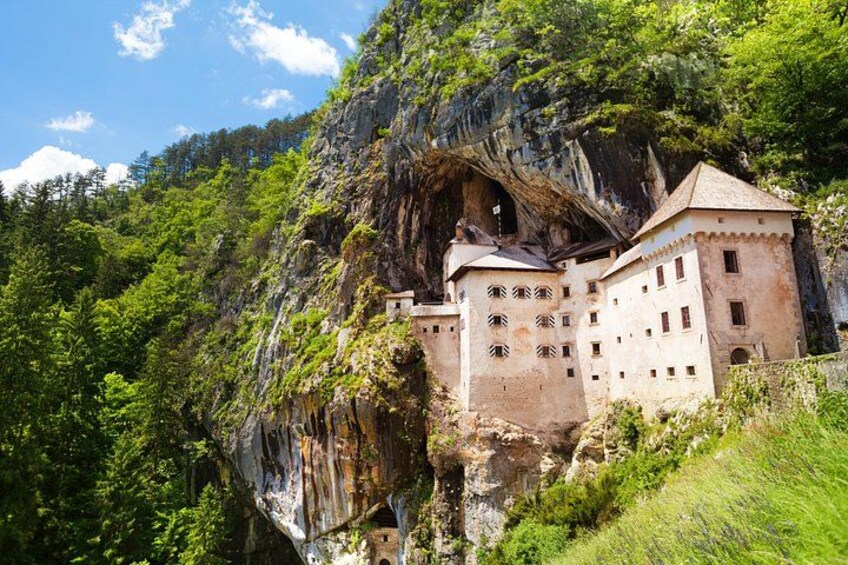 A castle built into a cliffside, surrounded by lush greenery. 2