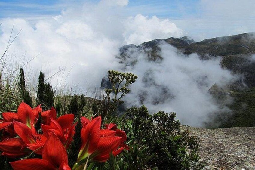 Serra dos Orgaos National Park – EcoTour 5