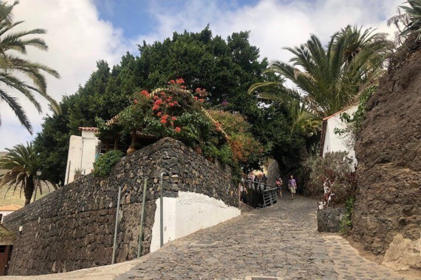 Tenerife Grand Tour: Including Teide National Park and Masca 2