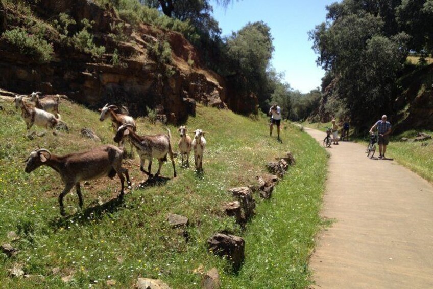 Private Ebike full day excursion to Sierra Norte Natural Park 3