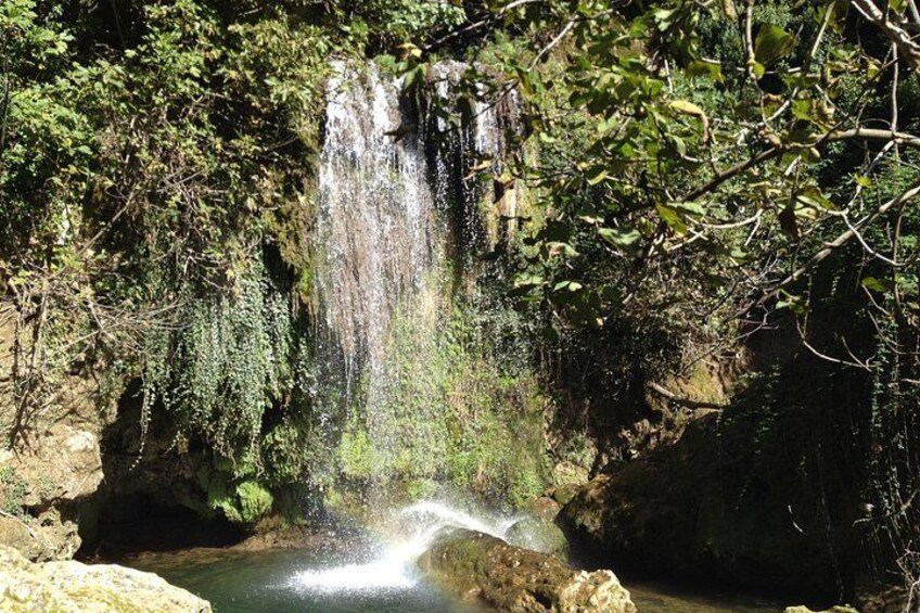 A waterfall cascading into a pool surrounded by dense foliage. 3