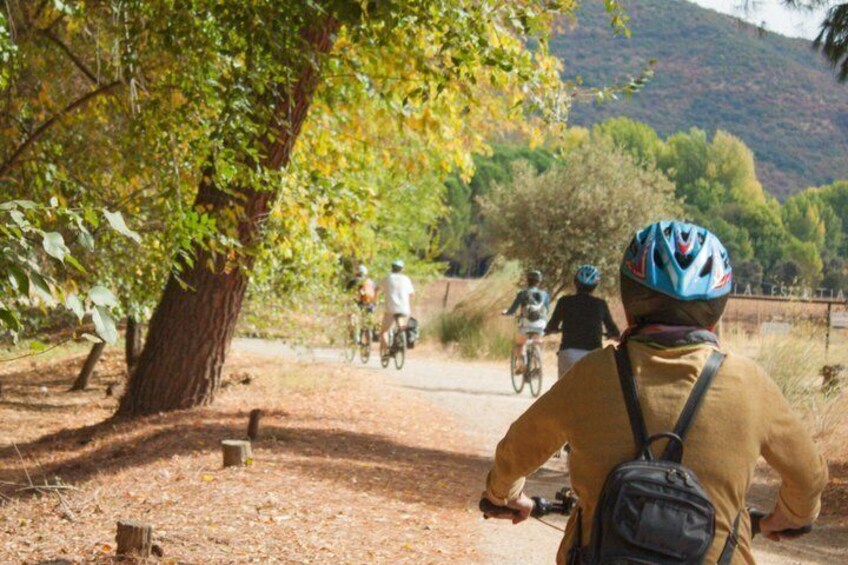Private Ebike full day excursion to Sierra Norte Natural Park 1