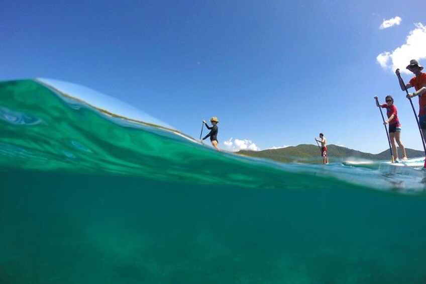 Folk padler på paddleboards på turkis vand under en klar himmel med fjerne bjerge. 3