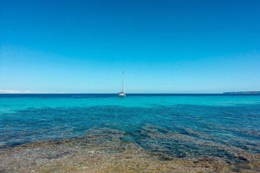 Full-Day Private Ibiza and Formentera Charter Cruise 3