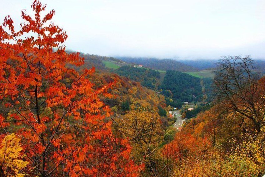 Dilijan 5