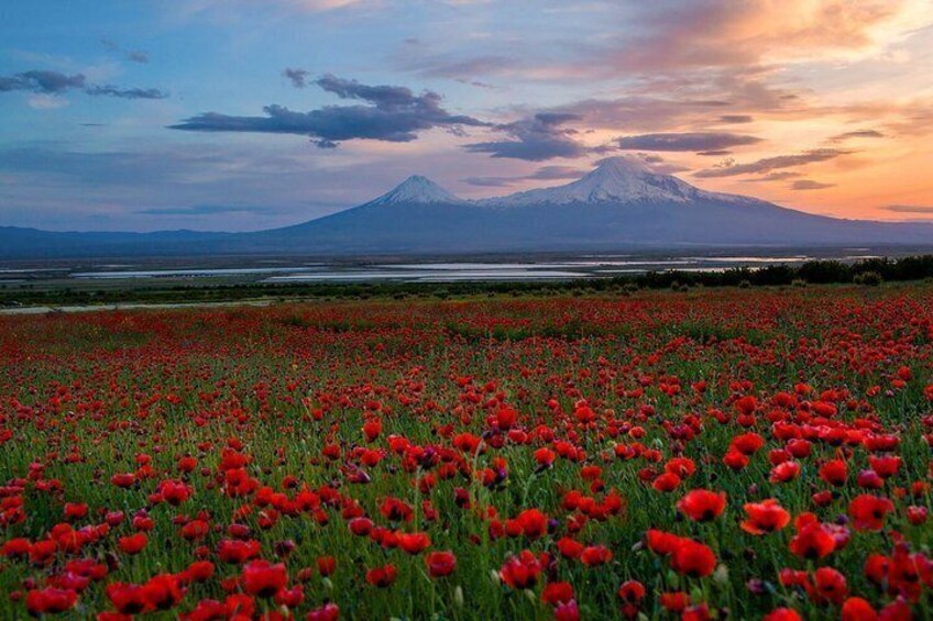 Private Half-Day Khor Virap Monastery & Mount Ararat view Tour from Yerevan 5