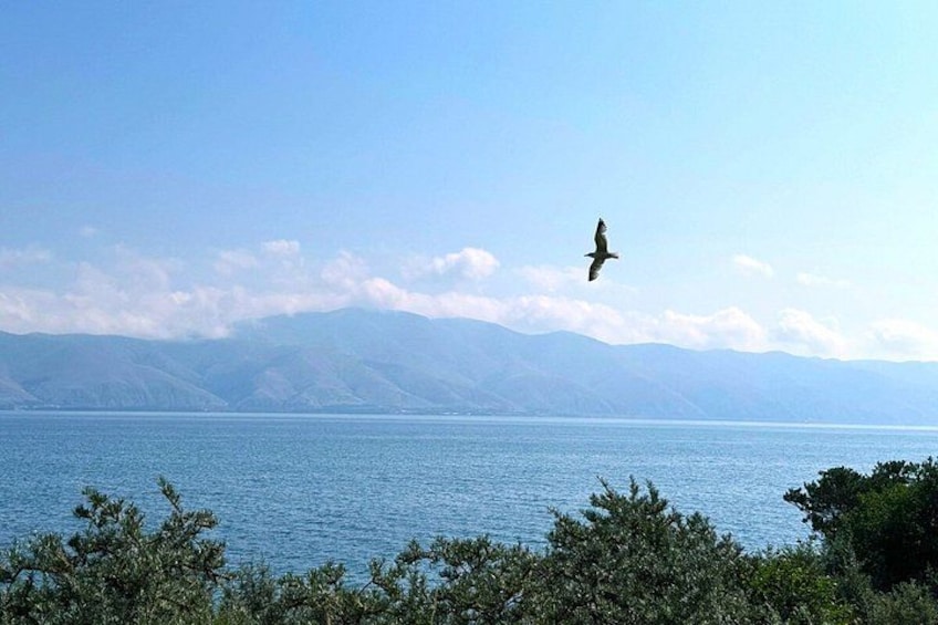 A bird flying over a body of water with mountains in the background. 3