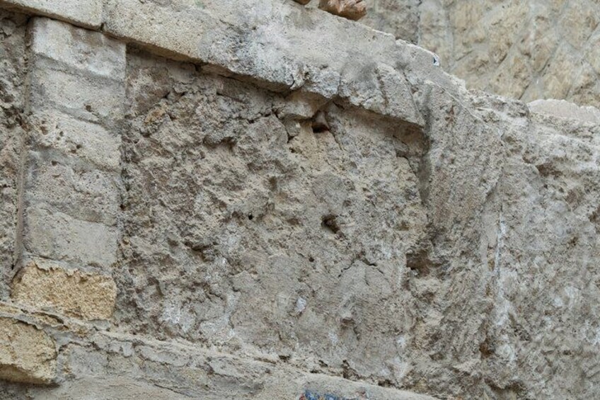 Herculaneum: skip the line entry ticket (art) + audioguide & map 2
