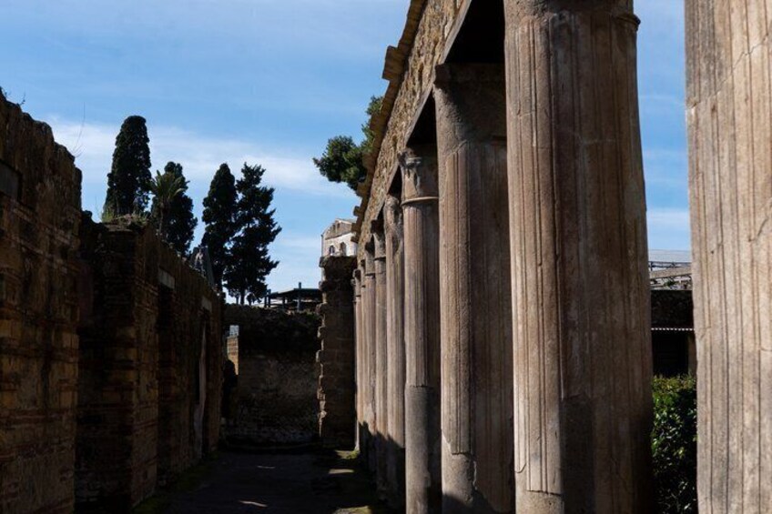 Herculaneum: skip the line entry ticket (art) + audioguide & map 3