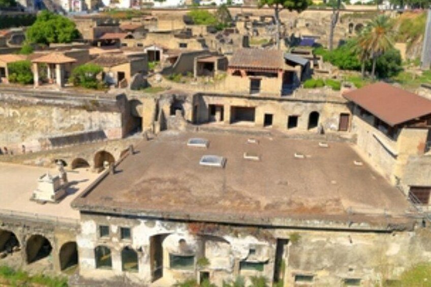 Herculaneum: skip the line entry ticket (art) + audioguide & map 5