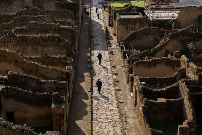Herculaneum: skip the line entry ticket (art) + audioguide & map 4