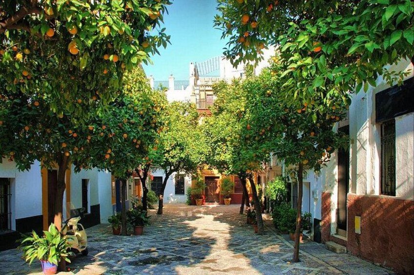 Full Day Seville Tour with tickets (optional Tapas & Flamenco) 2