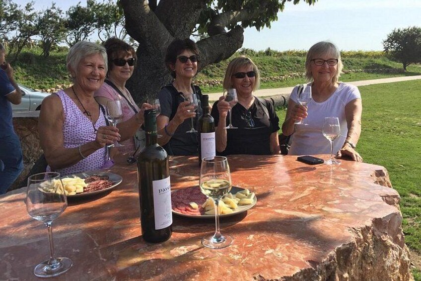 Great Wine Tour in Small Carpathian Hills 5