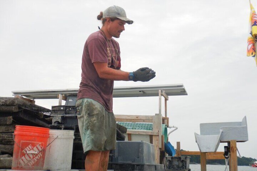 Meeting a Mere Point Oyster Company farmer at the sorting station.
