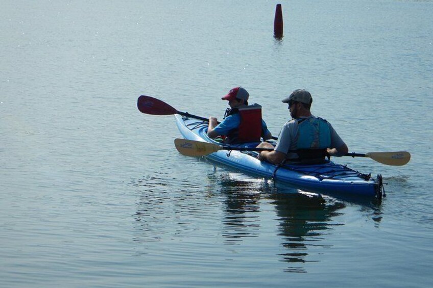 Oyster Farm & Complimentary Tasting Sea Kayak Tour in Casco Bay 2
