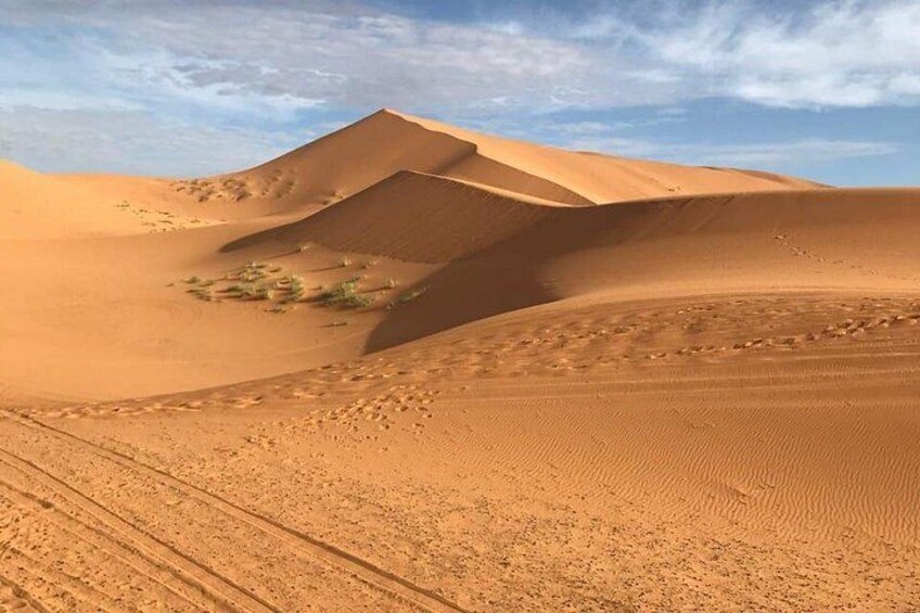 A desert landscape with sand dunes and a clear sky. 5