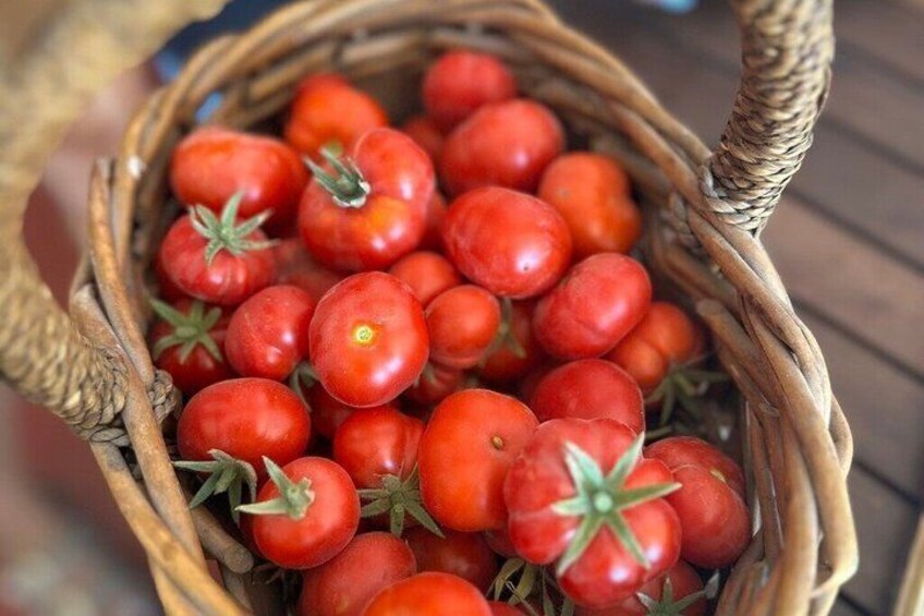 Santorini Family Farm Food & Wine Tour with Cooking Class 5