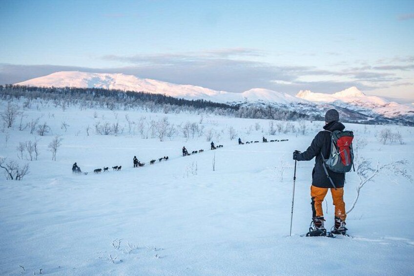 Une personne fait du ski dans un paysage enneigé, avec une montagne en arrière-plan. 1