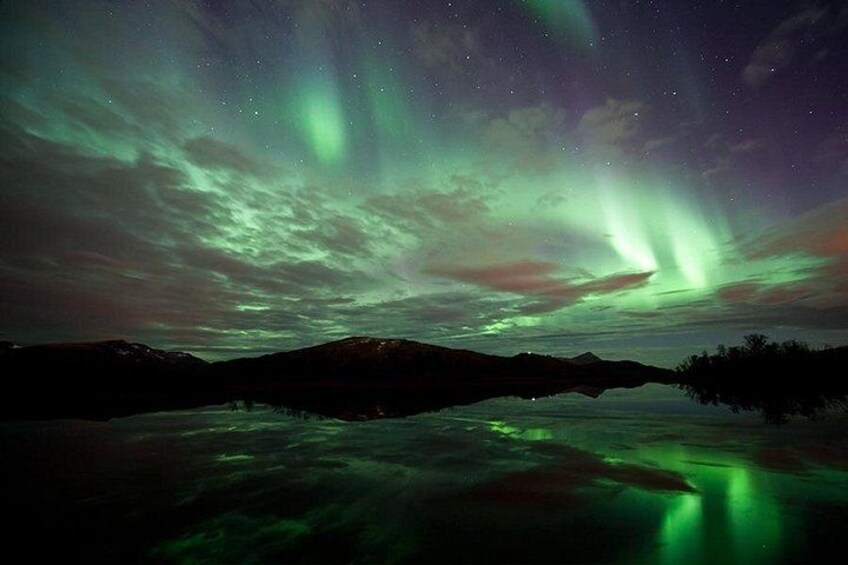 Northern Lights Husky Visit 2