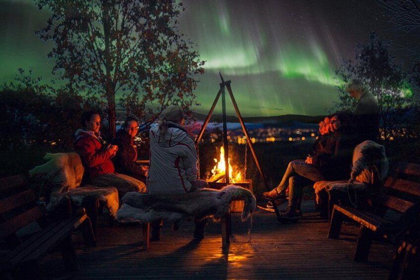 Northern Lights Husky Visit 1