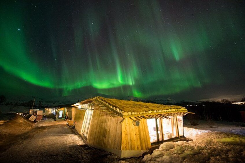 Northern Lights Husky Visit 3