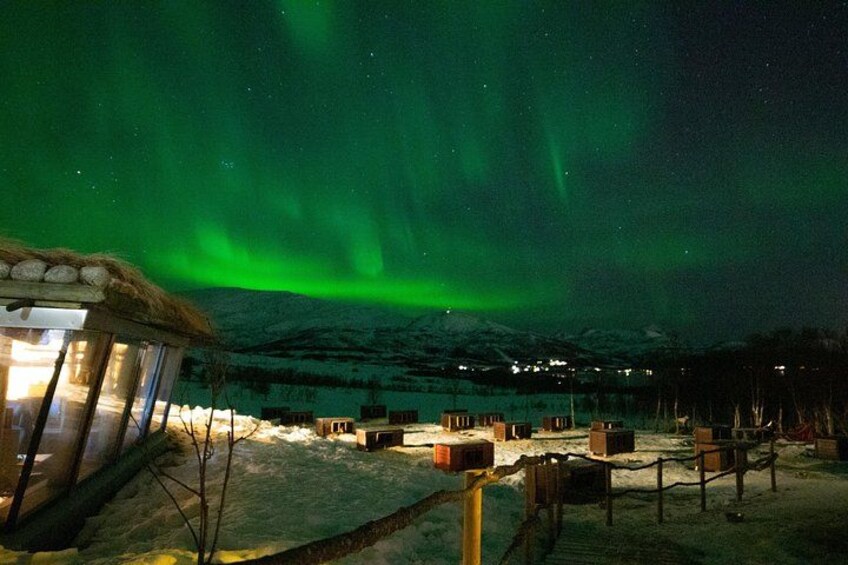 A snow-covered landscape with a thatched-roof structure and wooden cabins under a night sky with green aurora borealis. 3