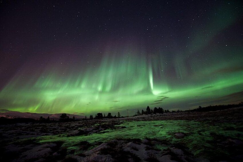 The Northern Lights over a snowy landscape with trees and a distant hill. 4