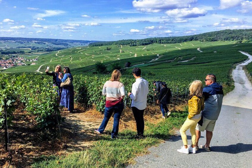 Un grupo de personas caminando por un sendero en un viñedo, con vistas al campo. 3