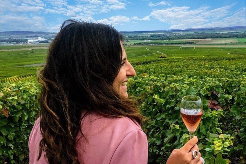 Una persona sosteniendo una copa de vino en un viñedo. 1