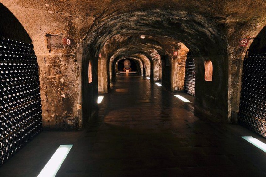 An underground tunnel with arched ceilings and walls lined with metal grates. 2