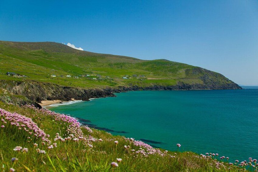 Look at the colour of the water in Dingle Bay. 2