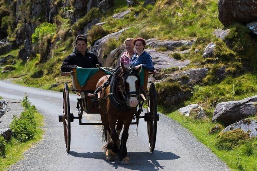 Traditional Irish Jaunting Carts through The Gap of Dunloe. 5