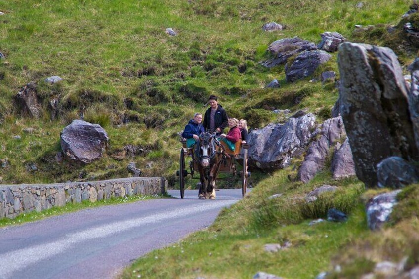 A horse-drawn carriage on a narrow road with people seated inside. 4