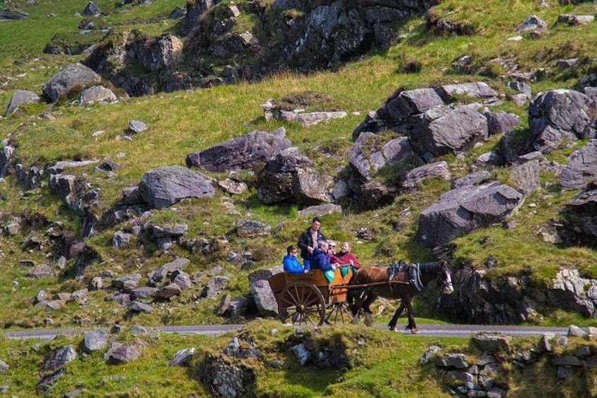 Une calèche tirée par des chevaux sur une colline rocheuse, avec des personnes assises à l’intérieur. 5