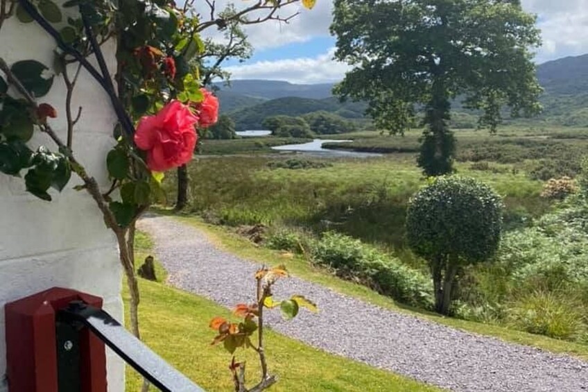 A gravel path, a red bench, a rose bush, a hedge, and a distant lake. 4