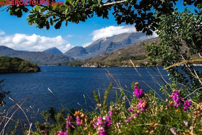 Lakes of Killarney on Ring of Kerry. 3