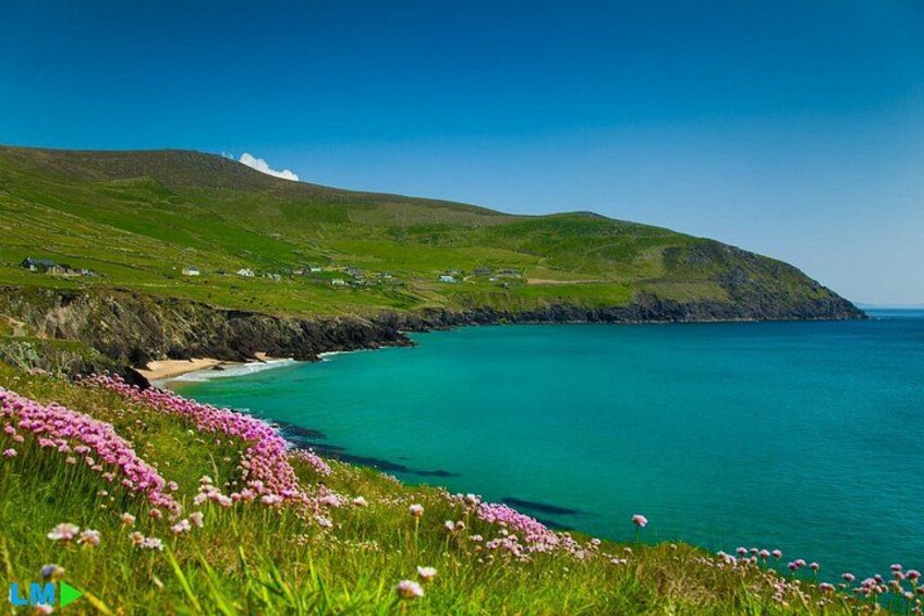 Dingle Peninsula. 5
