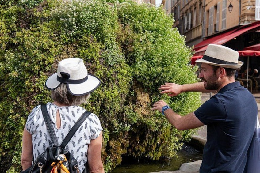 Una persona con camicia e cappello blu che tocca un cespuglio, con un'altra persona con camicia e cappello bianchi sullo sfondo. 2