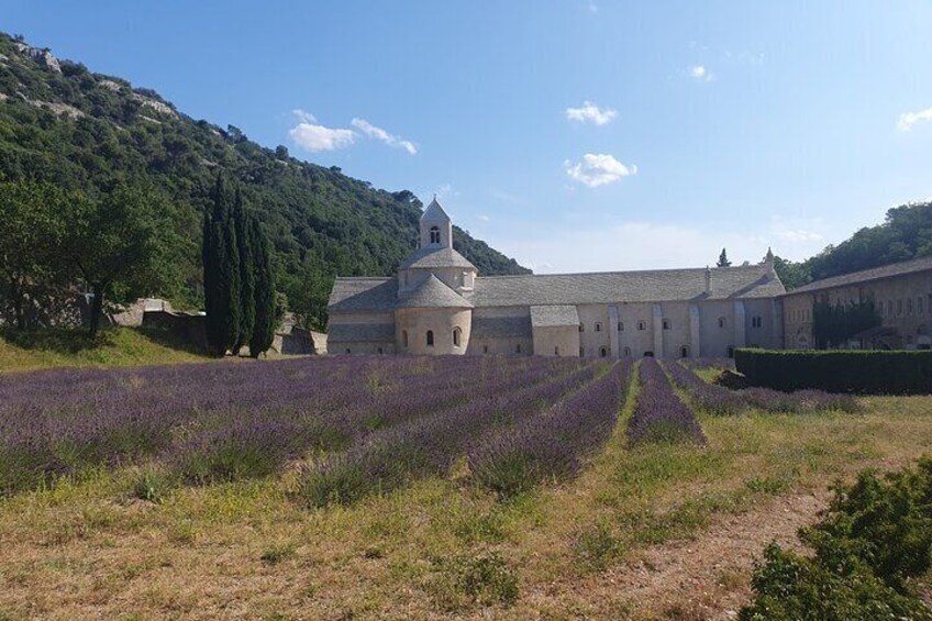 A historic building with a bell tower, surrounded by lavender fields. 2