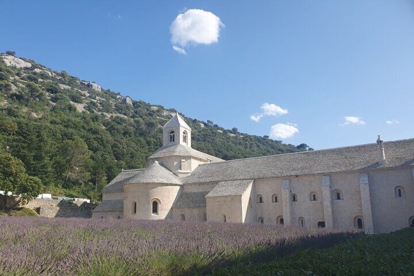 A historic building with a bell tower, surrounded by lavender fields and a mountainous backdrop. 3