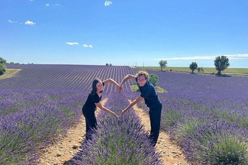 Provence Lavender Full Day Tour from Avignon 3