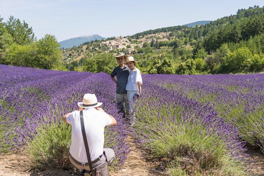 Provence Lavender Full Day Tour from Avignon 1