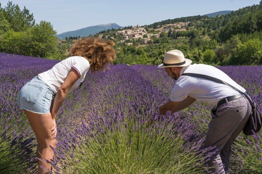 Two people in a lavender field with a village in the background. 4