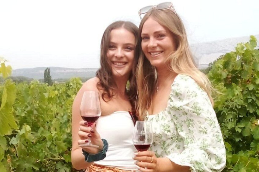 Zwei Personen mit Weingläsern in einem Weinberg. 3
