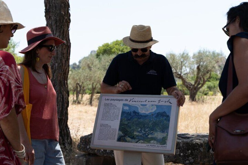 In the footsteps of Van Gogh in Provence from Avignon 1