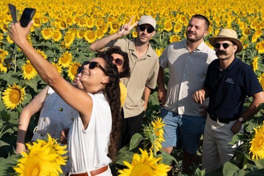 In the footsteps of Van Gogh in Provence from Avignon 4