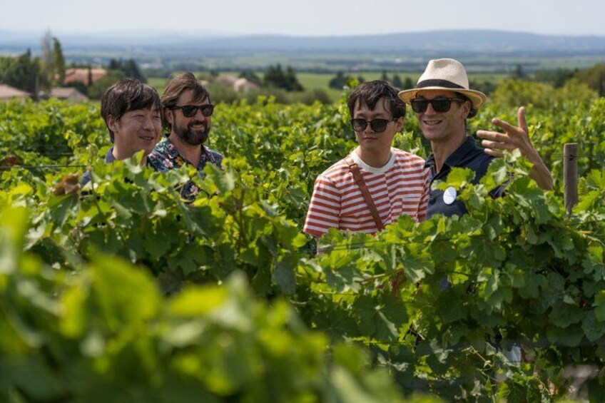 Morning Wine Tour to Chateauneuf du Pape from Avignon 1